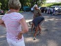 2014-07-03 18-03-43 Concours de boules DLe
